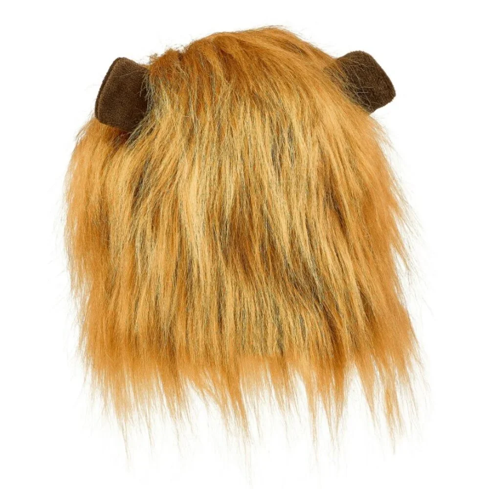 Petsmart new lion
